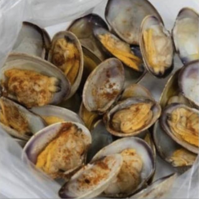 Clam.