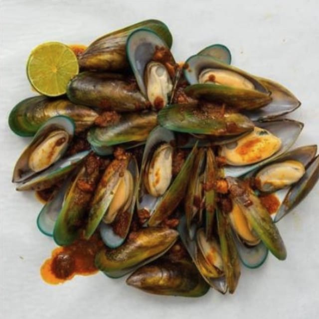 Black Mussel.