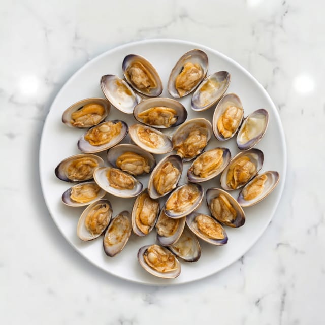 Clam.